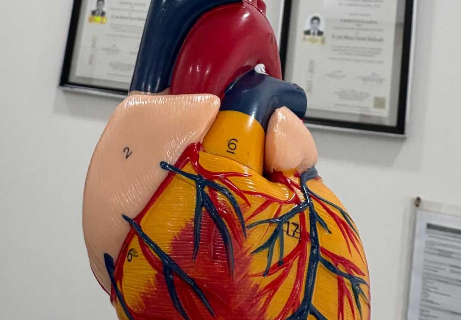 Dr. Juan Manuel Tiznado Maldonado Cardiologo en Monterrey 7